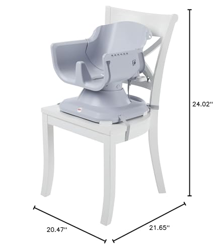 Fisher-Price Baby to Toddler High Chair SpaceSaver Portable Booster Seat with Washable Tray, Windmill E548