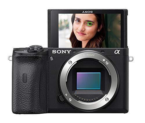 Sony Alpha A6600 Mirrorless Camera T999684
