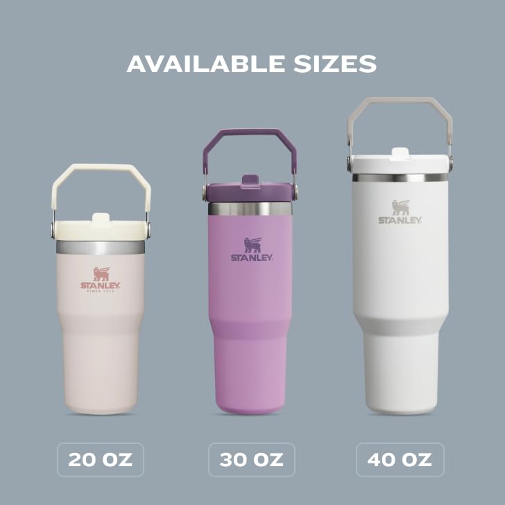 Stanley IceFlow Flip Straw Tumbler 30 oz Insulated Stainless Steel Lilac Z941193