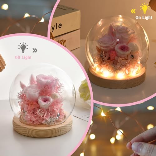 Preserved Real Rose in Glass Dome with LED Light for Women D176155
