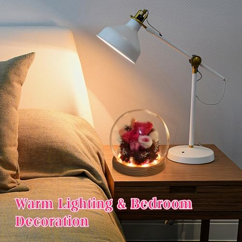 Preserved Real Rose in Glass Dome with LED Light for Women D176155
