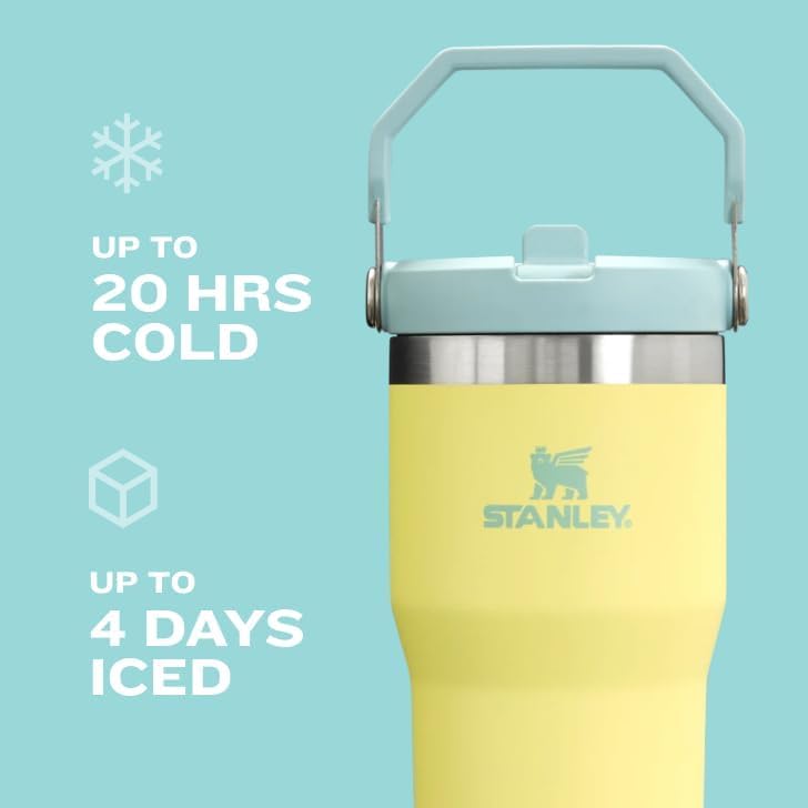 Stanley IceFlow Flip Straw Tumbler 30 oz Insulated Stainless Steel Lilac Z941193