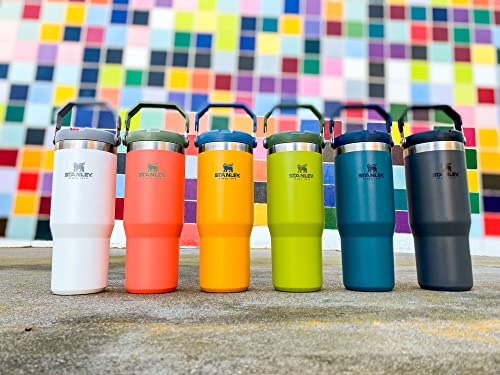 Stanley IceFlow Flip Straw Tumbler 30 oz Insulated Stainless Steel Lilac Z941193