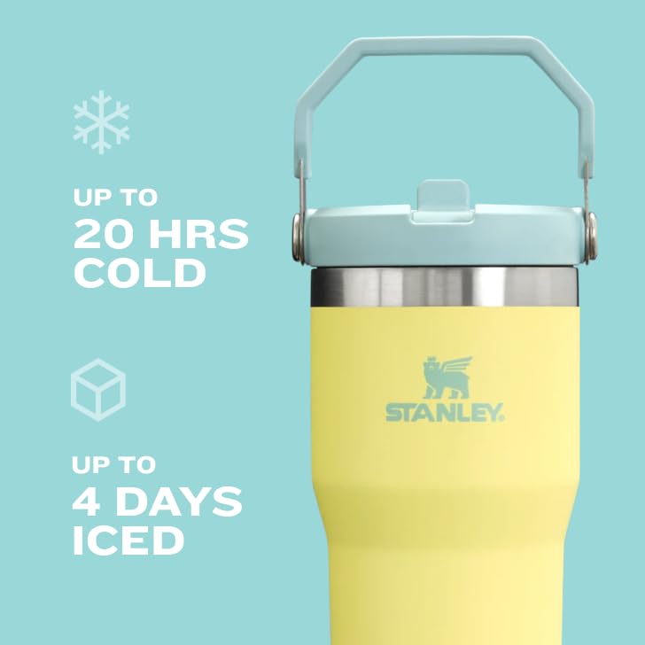 Stanley IceFlow Flip Straw Tumbler 30 oz Insulated Stainless Steel Lilac Z941193