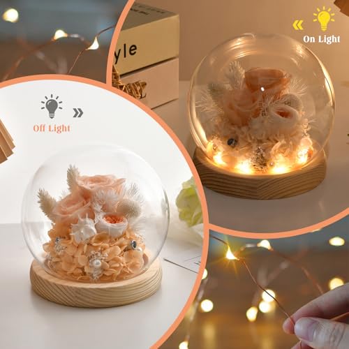 Preserved Real Rose in Glass Dome with LED Light for Women D176155