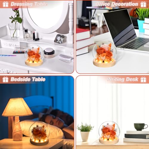 Preserved Real Rose in Glass Dome with LED Light for Women D176155