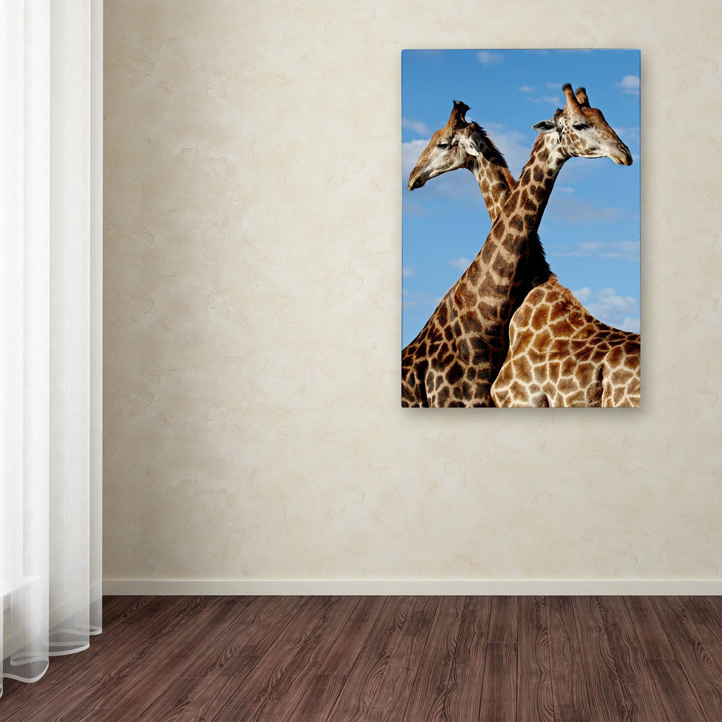 Robert Harding Picture Library Two Giraffes Canvas Art ALI19181-C K539