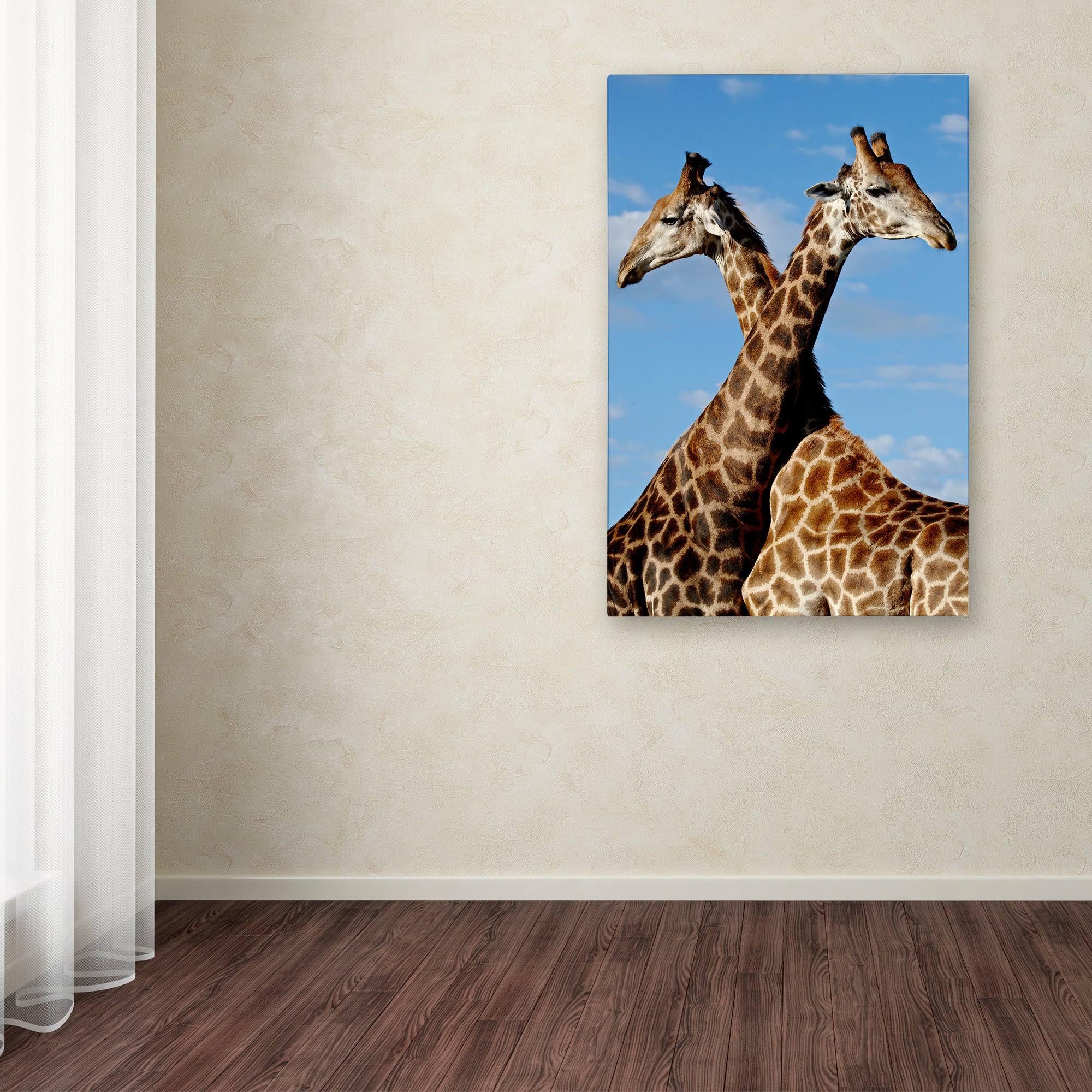 Robert Harding Picture Library Two Giraffes Canvas Art ALI19181-C K539