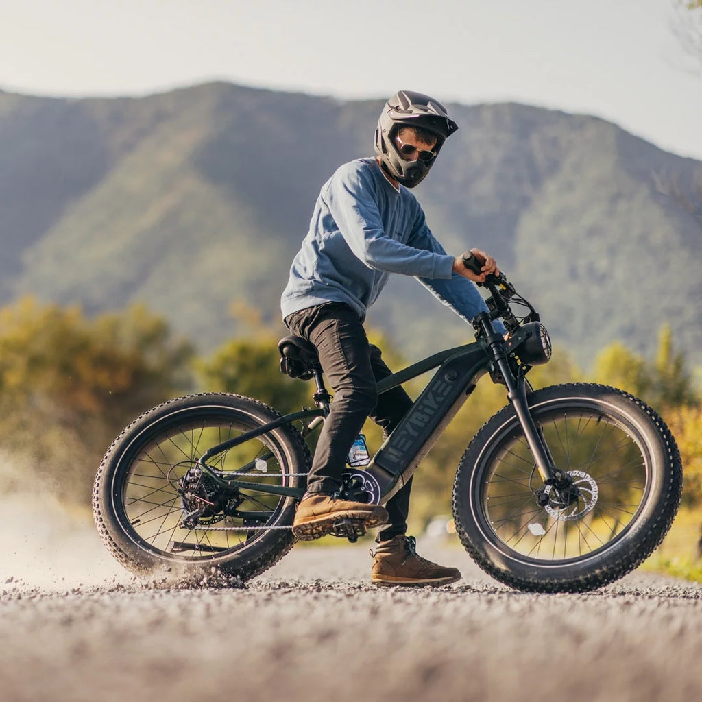 Heybike Brawn Electric Bike for Adults, 750W Fat Tire, 48V 18Ah Removable Battery Y439