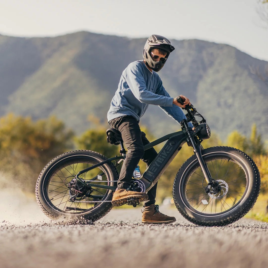 Heybike Brawn Electric Bike for Adults, 750W Fat Tire, 48V 18Ah Removable Battery Y439
