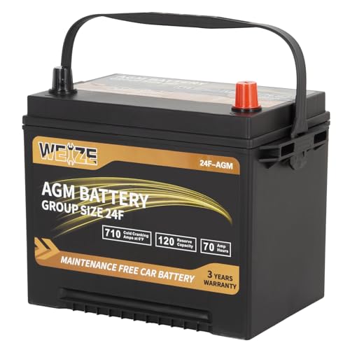 Weize Platinum AGM Battery BCI Group 35, 650CCA Y238491
