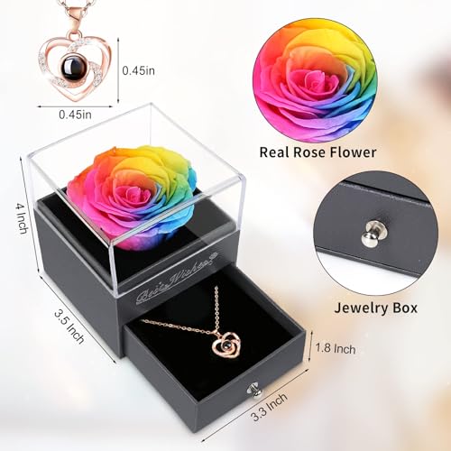 Preserved Red Rose with Necklace and Light for Mom Q61995