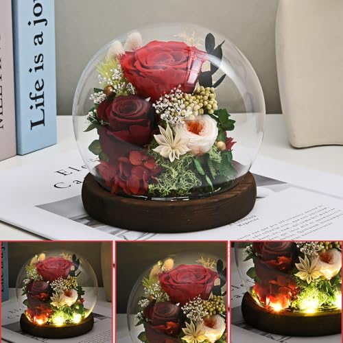 Rose in Glass Dome with LED Light - Gifts for Women Mom Grandma L94341