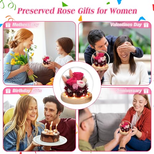 Preserved Real Rose in Glass Dome with LED Light for Women D176155