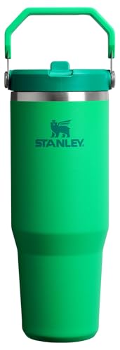 Stanley IceFlow Flip Straw Tumbler 30 oz Insulated Stainless Steel Lilac Z941193