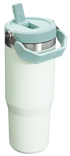 Stanley IceFlow Flip Straw Tumbler 30 oz Insulated Stainless Steel Lilac Z941193