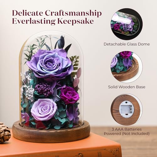 Forever Fresh Rose Flower Bouquet in Glass Dome, Preserved Purple Flowers J370