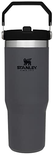 Stanley IceFlow Flip Straw Tumbler 30 oz Insulated Stainless Steel Lilac Z941193