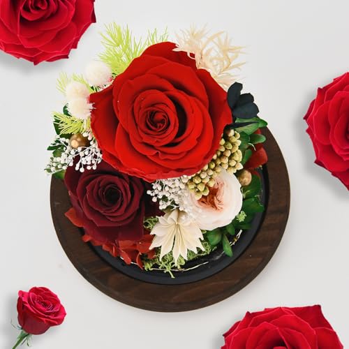 Rose in Glass Dome with LED Light - Gifts for Women Mom Grandma L94341