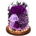 Forever Preserved Real Roses in Glass Dome with LED Lights R15984