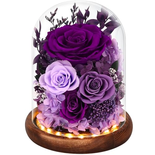 Forever Preserved Real Roses in Glass Dome with LED Lights R15984