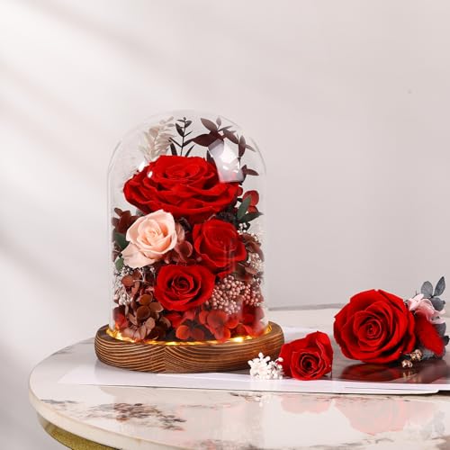 Forever Preserved Real Roses in Glass Dome with LED Lights R15984