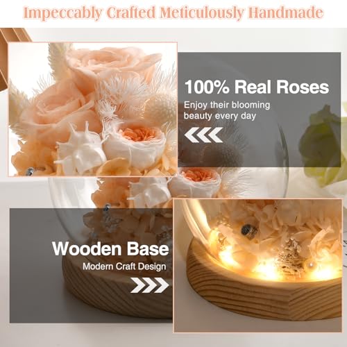 Preserved Real Rose in Glass Dome with LED Light for Women D176155