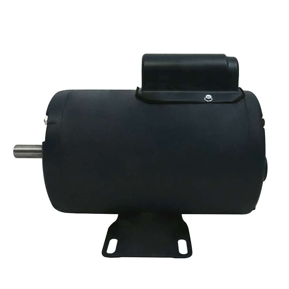 Leeson 1 HP Painted Boat Lift Motor 220V R232465