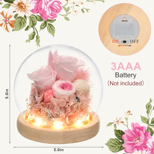 Preserved Real Rose in Glass Dome with LED Light for Women D176155