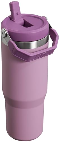 Stanley IceFlow Flip Straw Tumbler 30 oz Insulated Stainless Steel Lilac Z941193