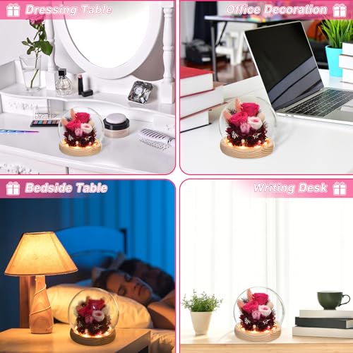 Preserved Real Rose in Glass Dome with LED Light for Women D176155