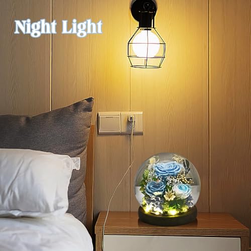 Rose in Glass Dome with LED Light - Gifts for Women Mom Grandma L94341