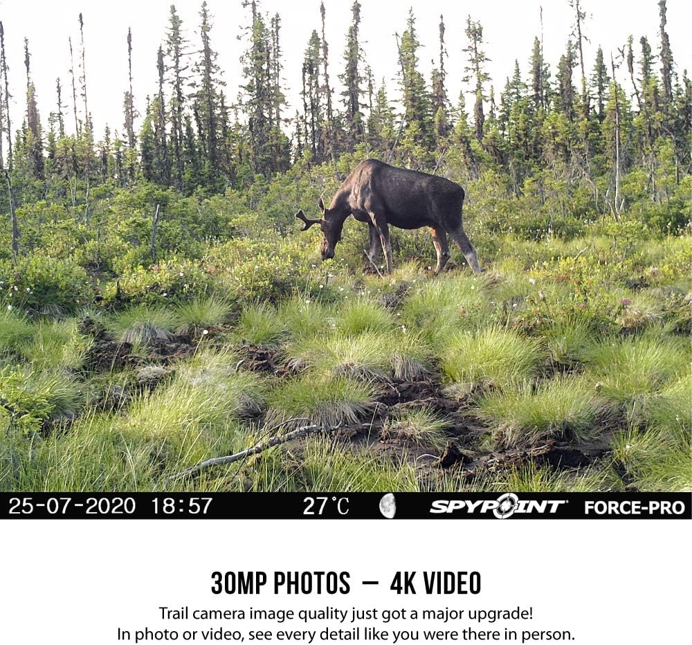 SPYPOINT Force-PRO Trail Camera 30MP with 16GB SD Card and Steel Reinforced Strap D942