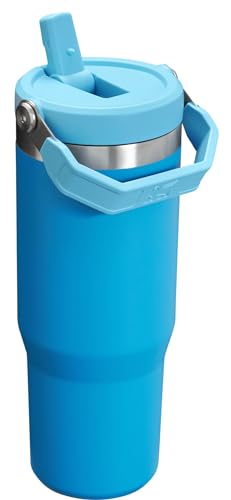 Stanley IceFlow Flip Straw Tumbler 30 oz Insulated Stainless Steel Lilac Z941193