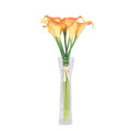 Vickerman 15x22 Orange Calla Lily in Water