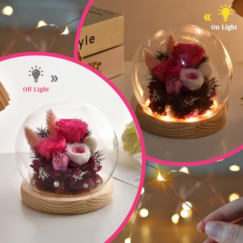 Preserved Real Rose in Glass Dome with LED Light for Women D176155