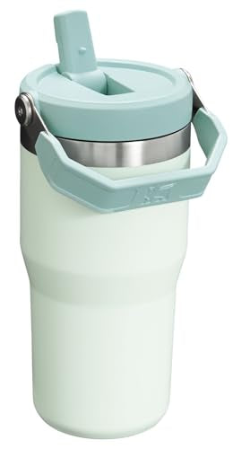 Stanley IceFlow Flip Straw Tumbler 30 oz Insulated Stainless Steel Lilac Z941193