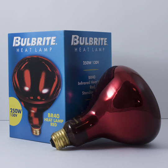 Bulbrite Incandescent BR40 250W Dimmable Red Heat Lamp Bulb, 6 Pack O405725