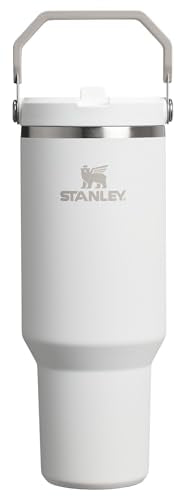 Stanley IceFlow Flip Straw Tumbler 30 oz Insulated Stainless Steel Lilac Z941193