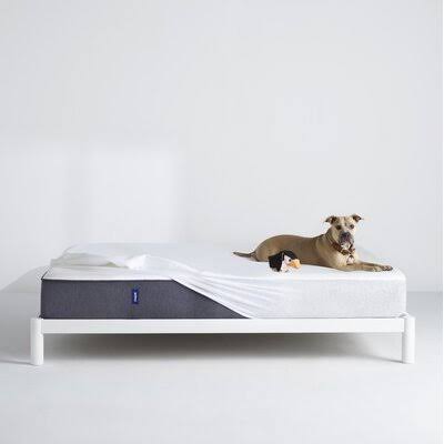 Casper Mattress Protector Queen L26425