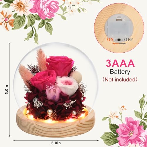 Preserved Real Rose in Glass Dome with LED Light for Women D176155
