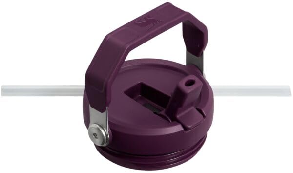 Stanley IceFlow Flip Straw Tumbler 30 oz Insulated Stainless Steel Lilac Z941193