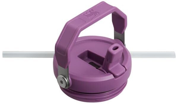 Stanley IceFlow Flip Straw Tumbler 30 oz Insulated Stainless Steel Lilac Z941193