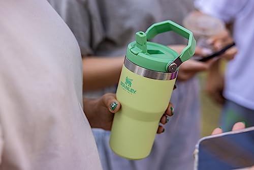 Stanley IceFlow Flip Straw Tumbler 30 oz Insulated Stainless Steel Lilac Z941193