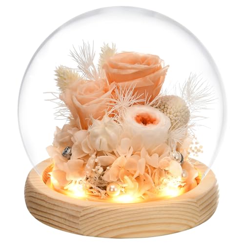 Preserved Real Rose in Glass Dome with LED Light for Women D176155