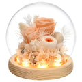 Preserved Real Rose in Glass Dome with LED Light for Women D176155
