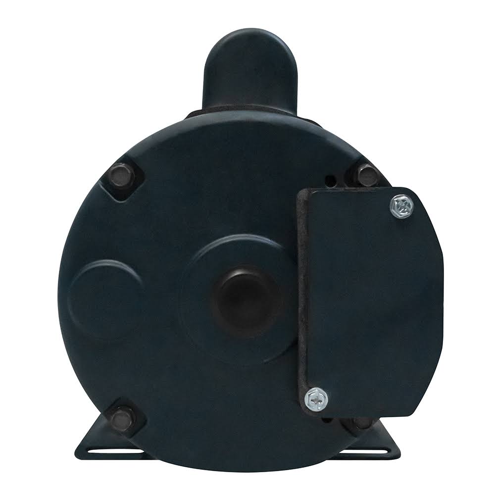 Leeson 1 HP Painted Boat Lift Motor 220V R232465