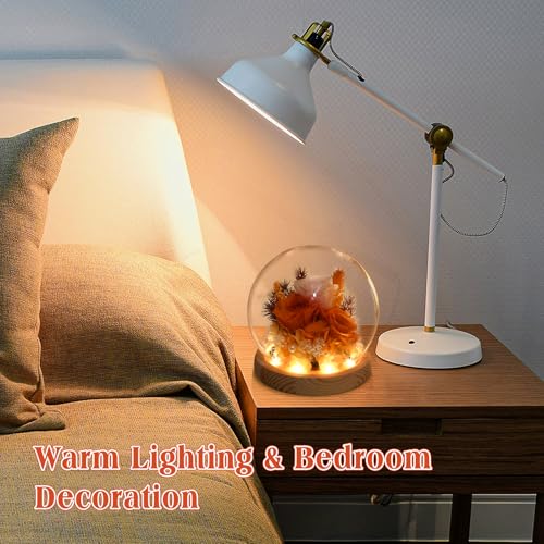 Preserved Real Rose in Glass Dome with LED Light for Women D176155