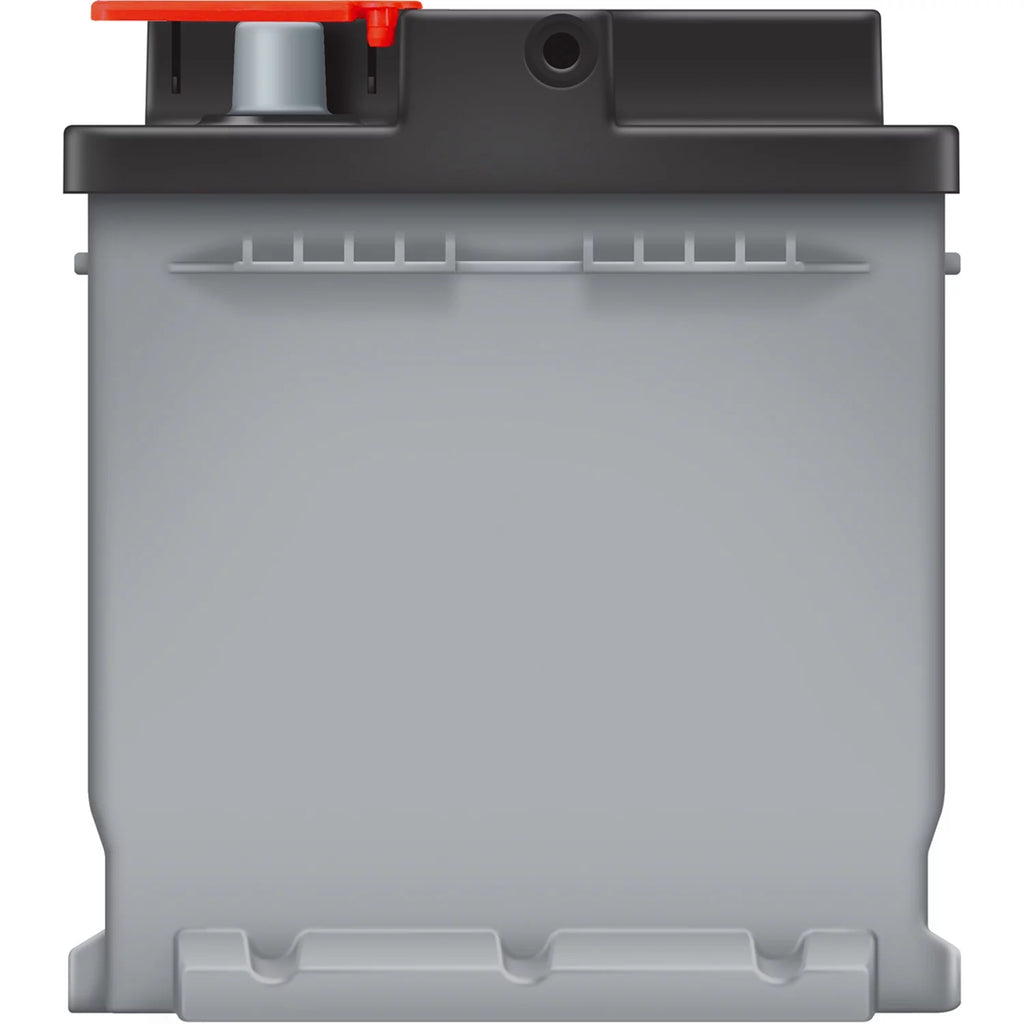 EverStart Platinum AGM Automotive Battery Group Size H8 Q905667