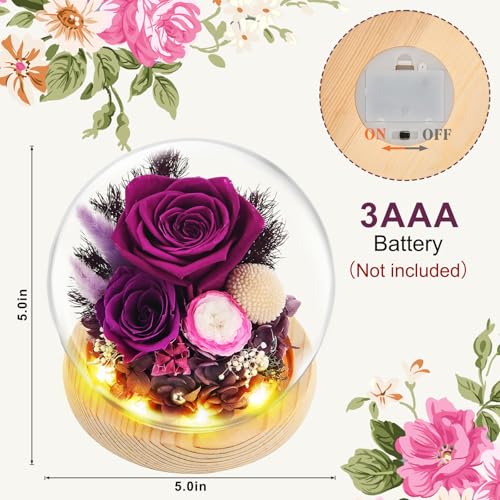 Preserved Real Rose in Glass Dome with LED Light for Women D176155